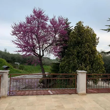 Casa Regina Apartment