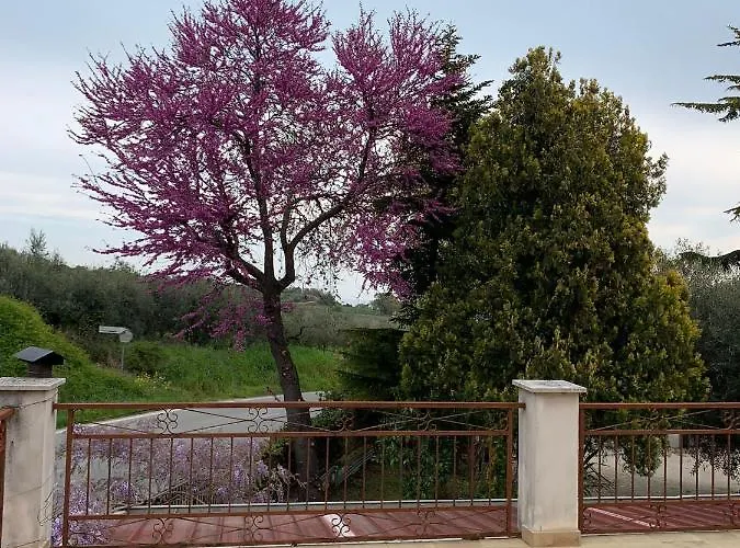 Casa Regina Apartment